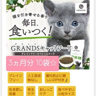 グランツ キャットフード☆チキン&サーモン 全年齢用 GRANDS 500g×1(ペットフード)