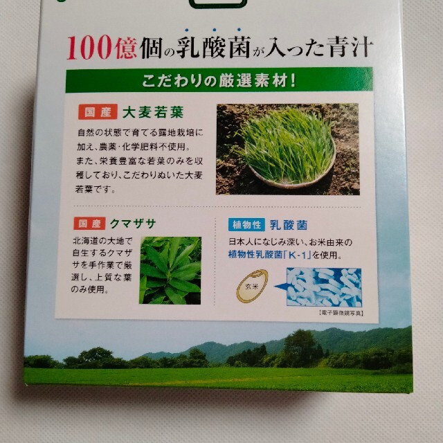 世田谷自然食品　乳酸菌が入った青汁　６０包　送料無料