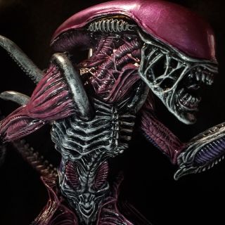 アオリイカ様専用 リペイント ヴェノム エイリアン フィギュアの