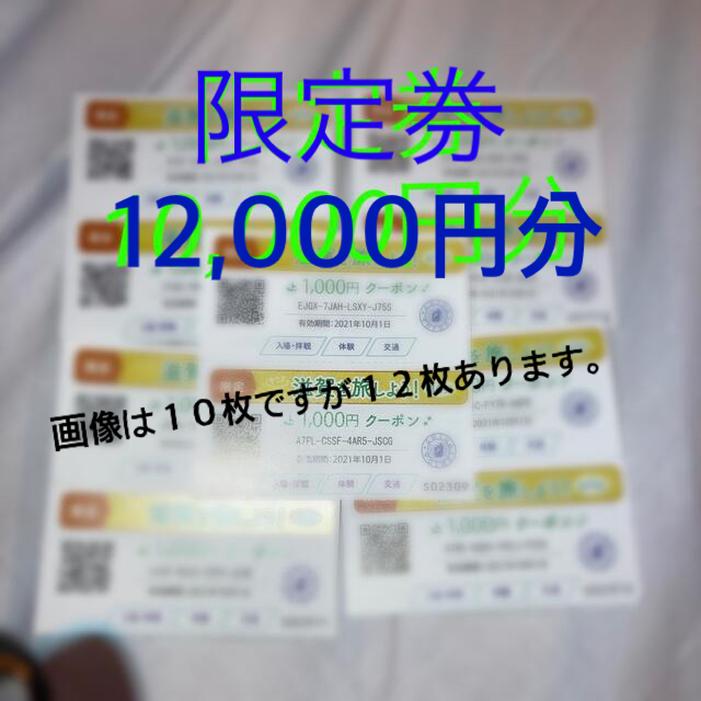 今こそ滋賀を旅しよう限定券12000円分 チケットの優待券/割引券(その他)の商品写真