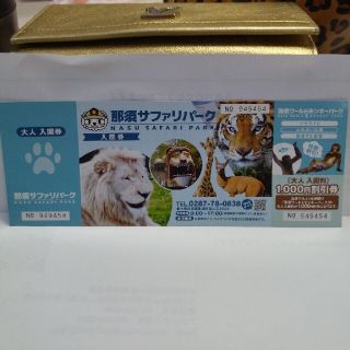 ぬぬぬ様専用★那須サファリパーク 大人入園券（パンフレット、専用封筒付）(動物園)