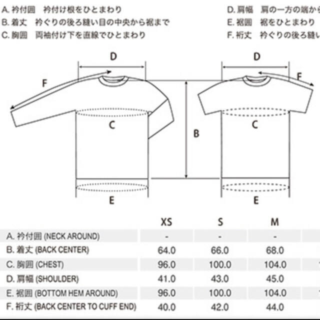 mont bell(モンベル)のモンベル ペアスキンコットン Ｔシャツ 甲虫 & 無地 ライトグレー メンズのトップス(Tシャツ/カットソー(半袖/袖なし))の商品写真