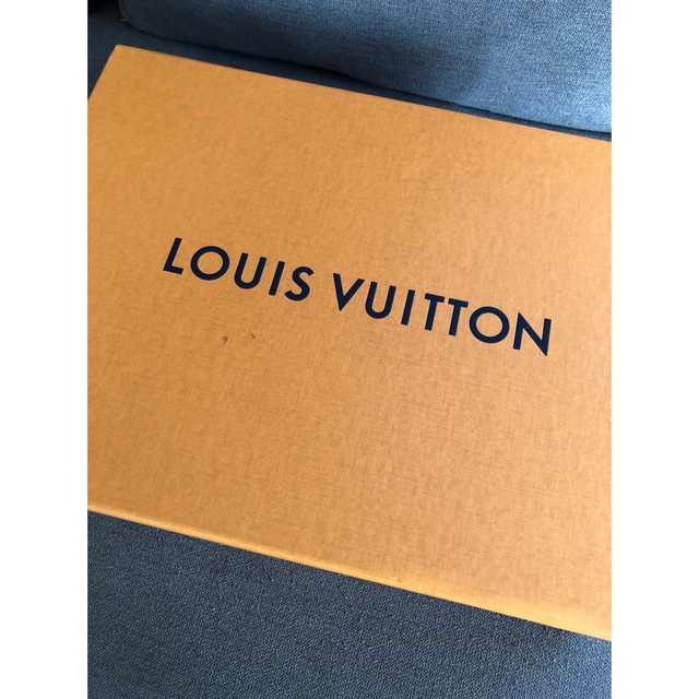 LOUIS VUITTON(ルイヴィトン)の送料無料❗ LOUIS VUITTON ルイヴィトン スウェット メンズのトップス(スウェット)の商品写真