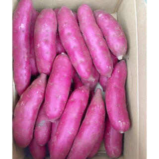 超人気　千葉県産　紫芋　むらさきいも　5kg (野菜)
