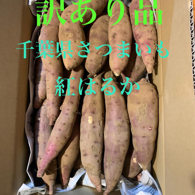 千葉県さつまいも　紅はるか5.5キロ　有機栽培 食品/飲料/酒の食品(野菜)の商品写真