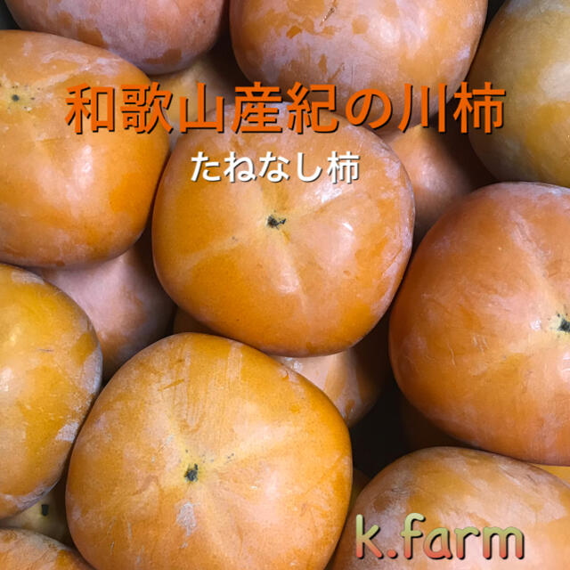 和歌山産　紀の川柿　二級品　7.5キロ