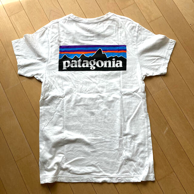 patagonia(パタゴニア)のパタゴニア　Tシャツ　白 メンズのトップス(Tシャツ/カットソー(半袖/袖なし))の商品写真