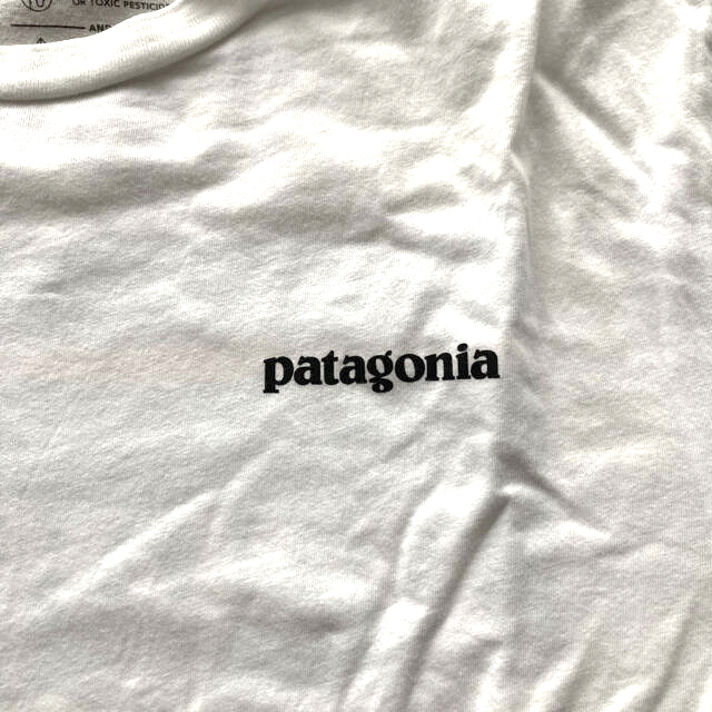 patagonia(パタゴニア)のパタゴニア　Tシャツ　白 メンズのトップス(Tシャツ/カットソー(半袖/袖なし))の商品写真