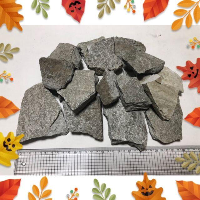 バドガシュタイン鉱石（ラドン鉱石）温泉セット　ハロウィンプレゼント付き