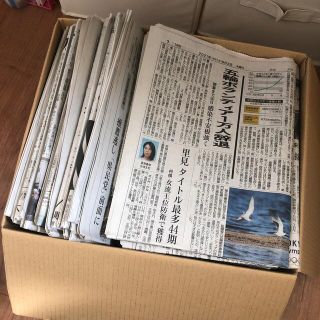 新聞紙42日分　送料無料　まとめ売り(印刷物)