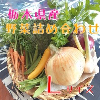 野菜おまかせ詰め合わせBOX【Ｌ】(野菜)