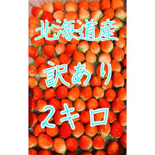 夏いちご　2キロ　北海道産　訳あり　クール便　送料込み(フルーツ)