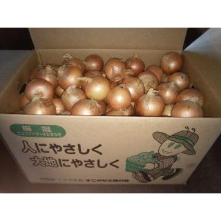 ☆wywrwt☆ 様専用　北海道産 玉ねぎ 40kg(野菜)