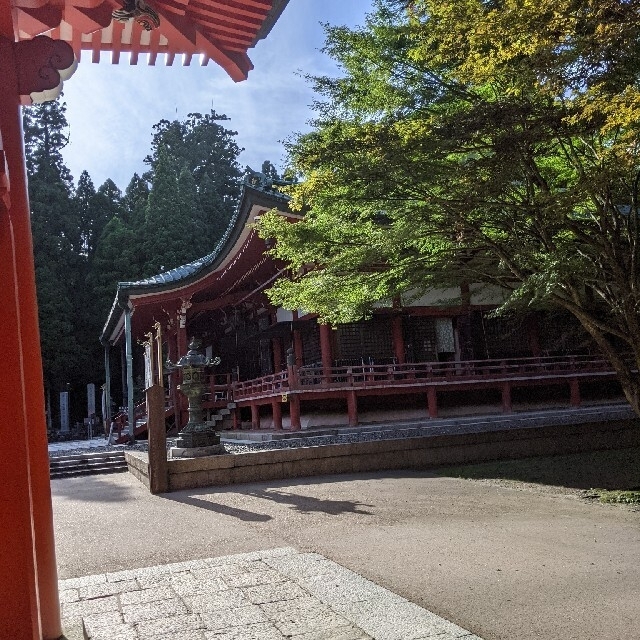 激安】 お線香10箱セット送料込 伝教大師1200年大遠忌 「名香 叡山香