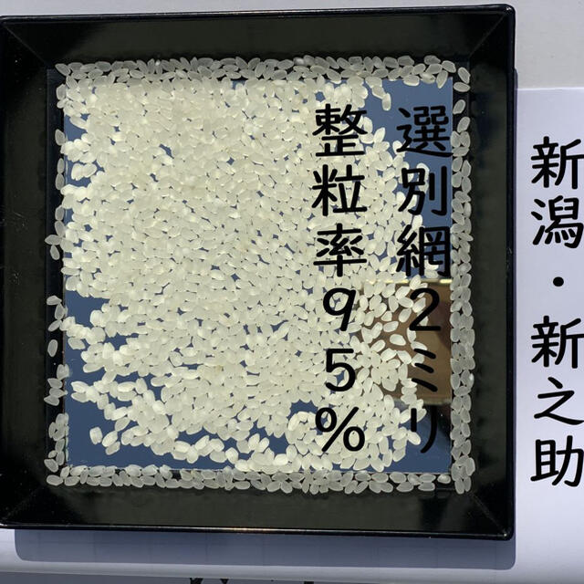 新米・令和4年産 新潟 新之助 白米5kg × 4個 農家直送 色彩選別済