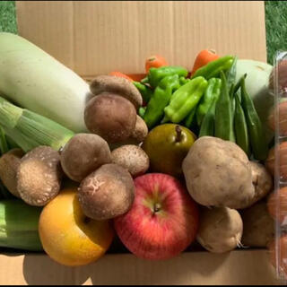 ★80サイズ★ 無農薬新鮮野菜果物+新潟新米セット 10種類(野菜)