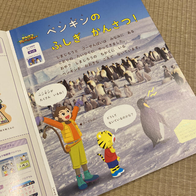 こどもちゃれんじ すてっぷ 8月号～11月号 エンタメ/ホビーの本(絵本/児童書)の商品写真