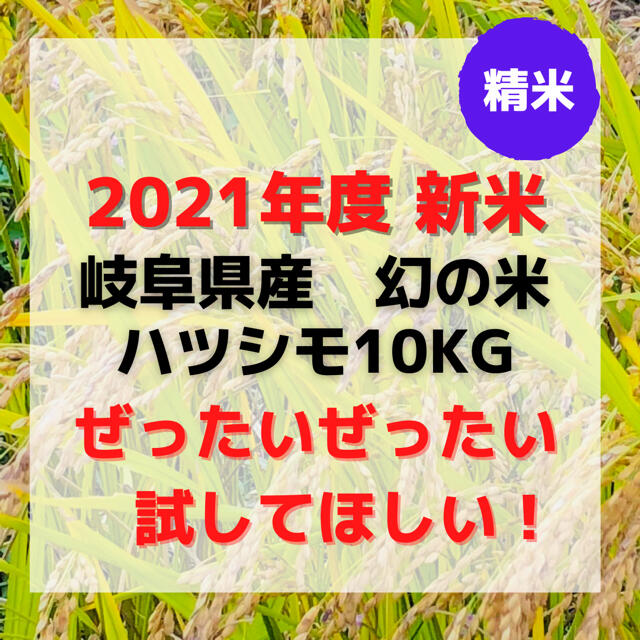 2021年度　岐阜県産ハツシモ10kg　幻の米　米/穀物