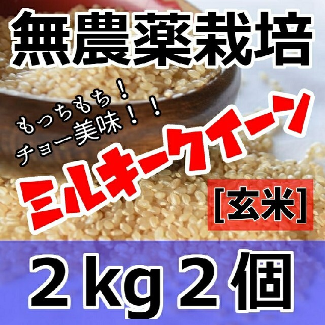 玄米　2kg７個-　令和3年産　無農薬栽培米　新米　ミルキークイーン