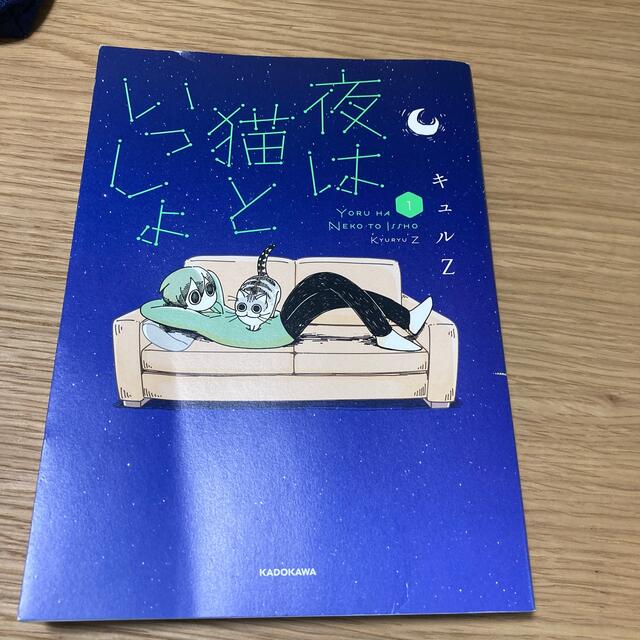 角川書店(カドカワショテン)の夜は猫といっしょ １ エンタメ/ホビーの漫画(その他)の商品写真