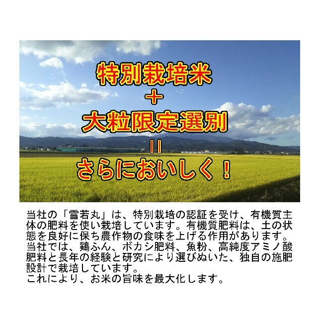 めしだけでうまい。令和三年産　新米　 山形県産　雪若丸 １０ｋｇ　特別栽培大粒選 食品/飲料/酒の食品(米/穀物)の商品写真