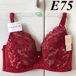 ワコール(Wacoal)のウイング　ワコール　レシアージュ　ブラジャー　E75(ブラ)