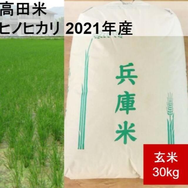 兵庫県産直送 高田米 減農薬 ヒノヒカリ/ 玄米 / 30kg/ 2021 産