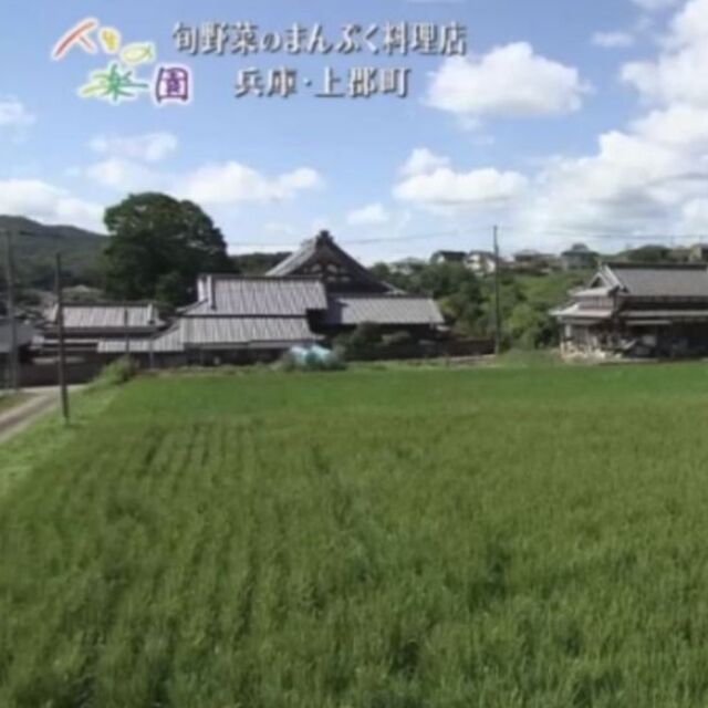 兵庫県産直送 高田米 減農薬 ヒノヒカリ/ 玄米 / 30kg/ 2021 産 