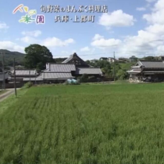 兵庫県産直送 高田米 減農薬 ヒノヒカリ/ 玄米 / 産