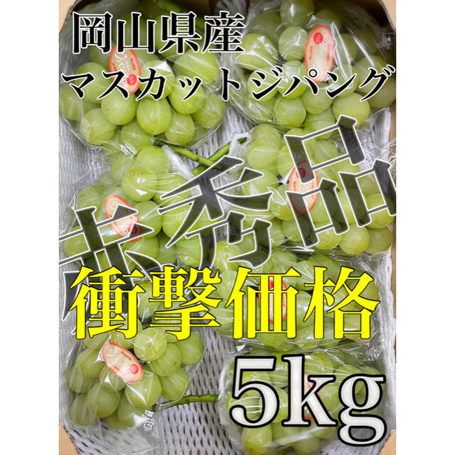 最高級葡萄！！岡山県産【マスカット ジパング】赤秀品　6〜7房　5kg！！岡山県産