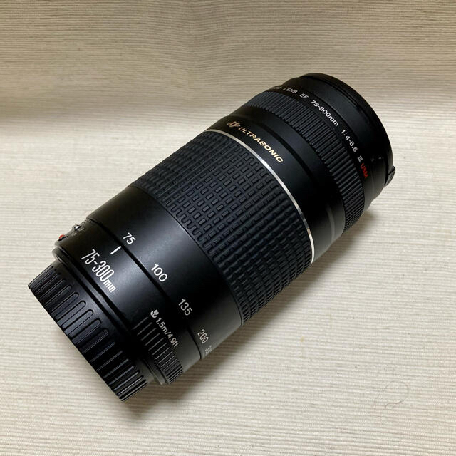 Canon(キヤノン)のCanon EF 75-300mm 1:4-5.6 III USM スマホ/家電/カメラのカメラ(レンズ(ズーム))の商品写真