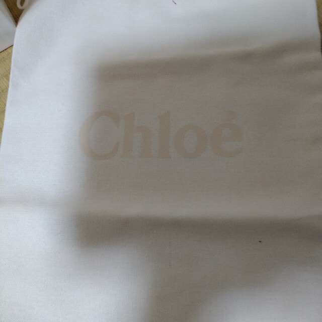 Chloe(クロエ)のクロエ　本革　パイソン　パンプス　ヒール　美品 レディースの靴/シューズ(ハイヒール/パンプス)の商品写真