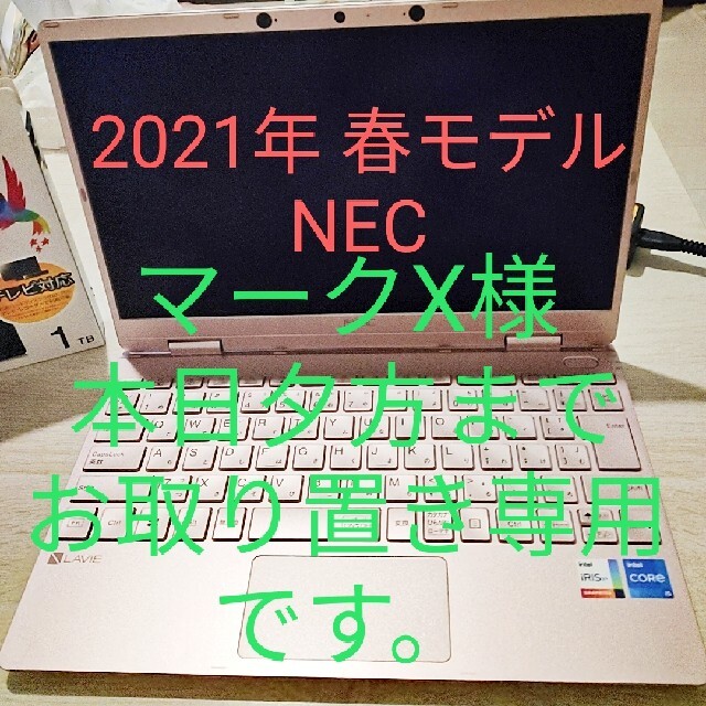 NEC LAVIE Dierect N12 2021年春モデル