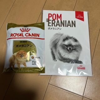 ロイヤルカナン(ROYAL CANIN)のロイヤルカナン  ポメラニアン辞典　ポメラニアン専用ドックフードサンプル(犬)