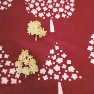 多肉植物 むぎちゃ様 専用ページの通販 by こんちゃん's shop|ラクマ