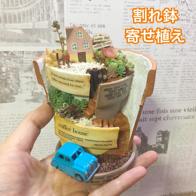 多肉植物の寄せ植え　割れ鉢タイプ　Coffee house ハンドメイドのフラワー/ガーデン(その他)の商品写真