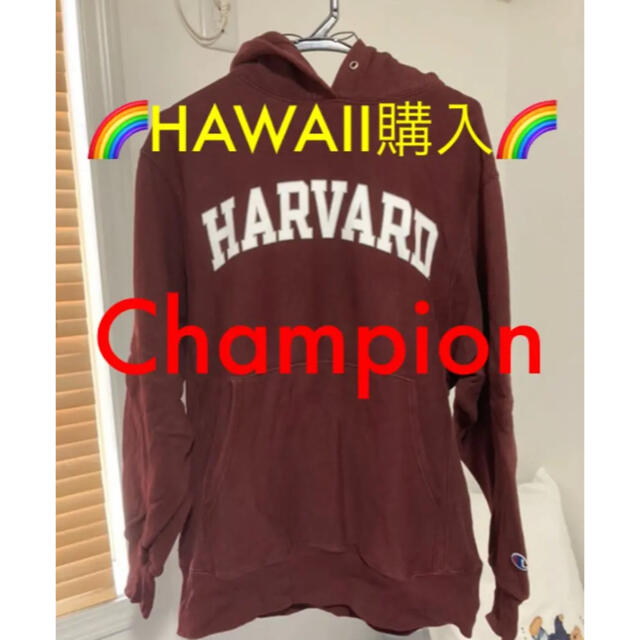 【入手困難】Champion/HARVARD パーカー【S】