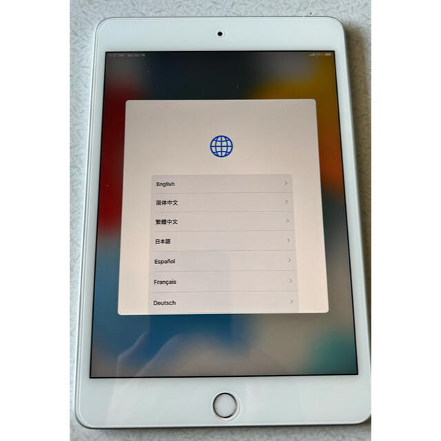 iPad mini 第5世代 256GB セルラー SIMフリー 備品 レビュー高評価の