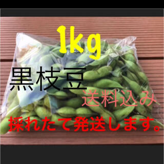 黒枝豆　1kg  採れたて発送します。(野菜)