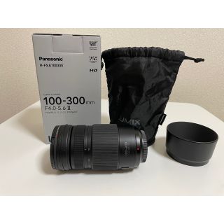 パナソニック(Panasonic)のLUMIX100-300 保護カバー付き(レンズ(ズーム))