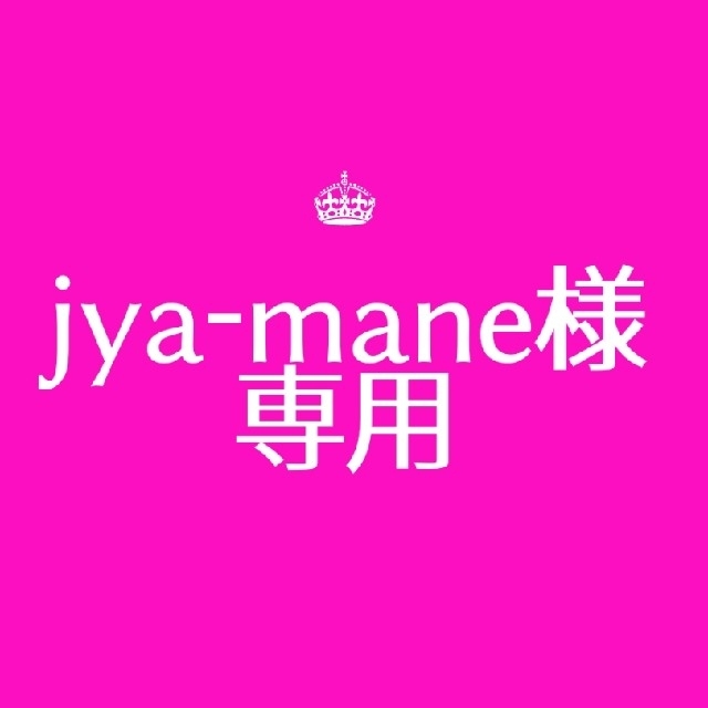 jya-mane様専用☆多肉植物 ハンドメイドのフラワー/ガーデン(その他)の商品写真