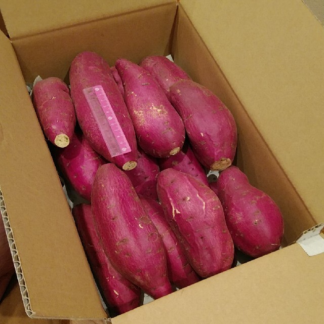 F 千葉県産　シルクスイート　さつまいも　サツマイモ　約5.9キロ 食品/飲料/酒の食品(野菜)の商品写真
