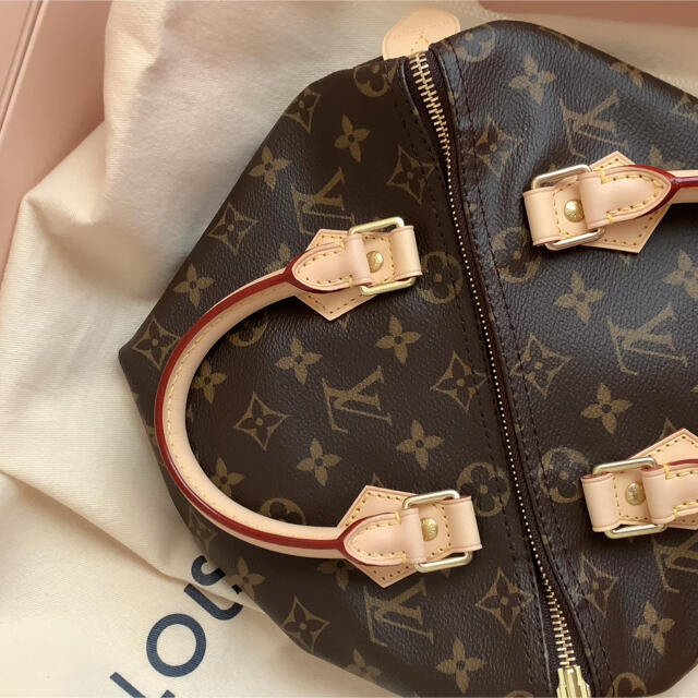 LOUIS VUITTON(ルイヴィトン)のLOUIS VUITTON スピーディ 25 ルイヴィトン レディースのバッグ(ハンドバッグ)の商品写真