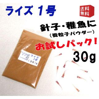 めだか の 餌 エサ◇ライズ１号（針子/微粒子パウダー）３０ｇ◇メダカ えさ③(アクアリウム)