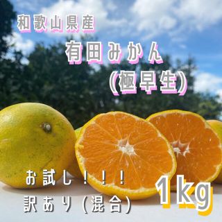 お試し‼️和歌山県産 有田みかん(極早生) 訳あり 混合 1kg(フルーツ)