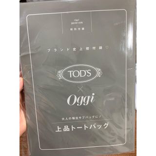 トッズ(TOD'S)のオッジoggi 付録 トッズ　(トートバッグ)