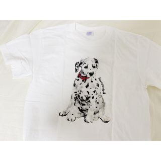 saucy dog Tシャツ(ミュージシャン)