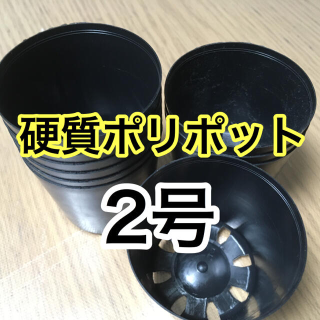 硬質ポリポット黒2号6cmサイズ 10個 希少 ハンドメイドのフラワー/ガーデン(その他)の商品写真