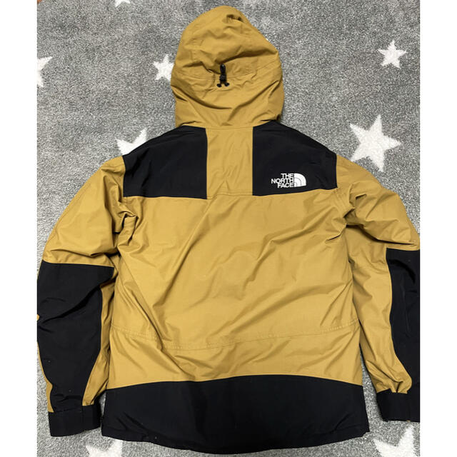 THE NORTH FACE(ザノースフェイス)のノースフェイス　マウンテンダウンジャケット L  レアカラー メンズのジャケット/アウター(マウンテンパーカー)の商品写真