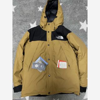 ザノースフェイス(THE NORTH FACE)のノースフェイス　マウンテンダウンジャケット L  レアカラー(マウンテンパーカー)